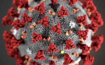 Aktuelle Situation zu Covid-19