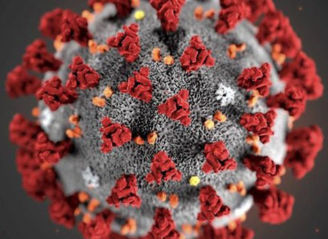 Coronavirus, Nahaufnahme unterm Mikroskop