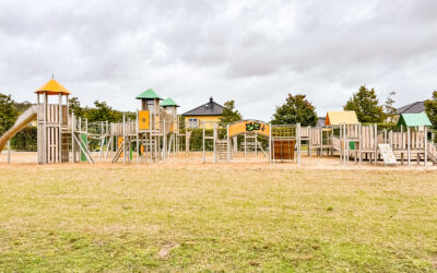General view of the Butterfly Meadows play equipment